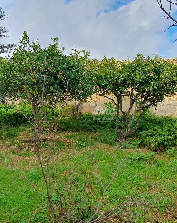 Birzebbugia farmhouse with 1.9 tumoli field