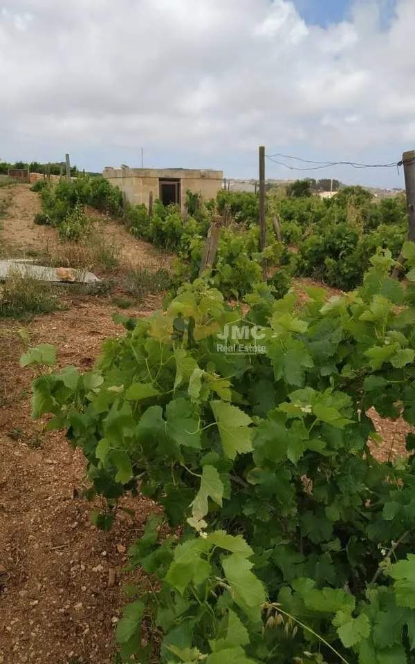 Rabat (Malta) 2150sqm field
