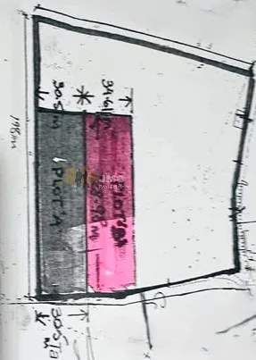 Bahrija 4 tumoli field