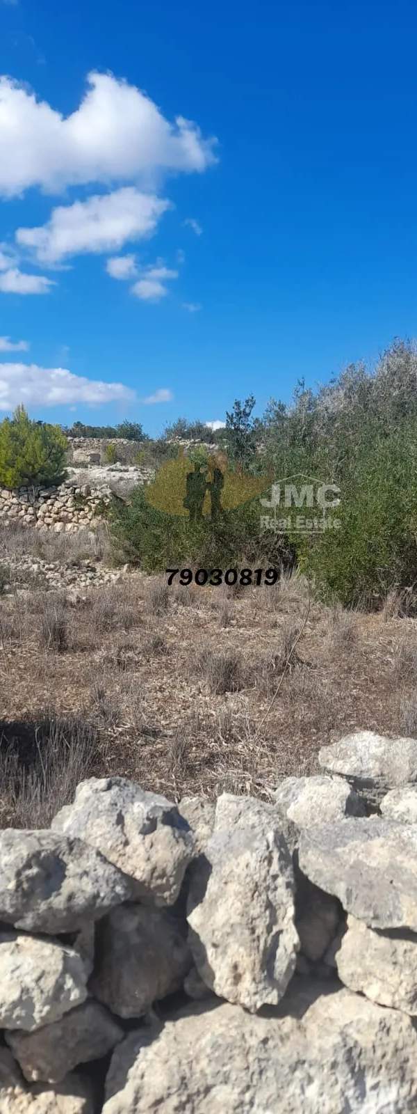 Wardija 12 tumoli field