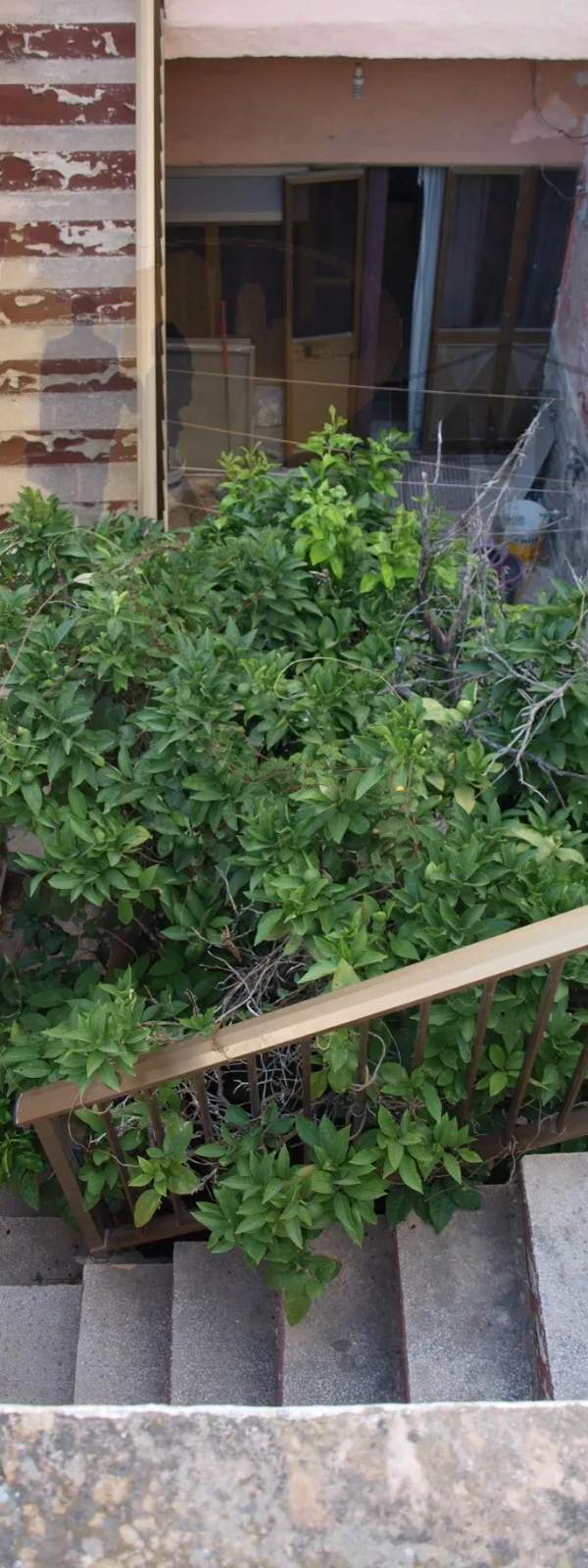 Marsa 3 bedroom townhouse with airspace