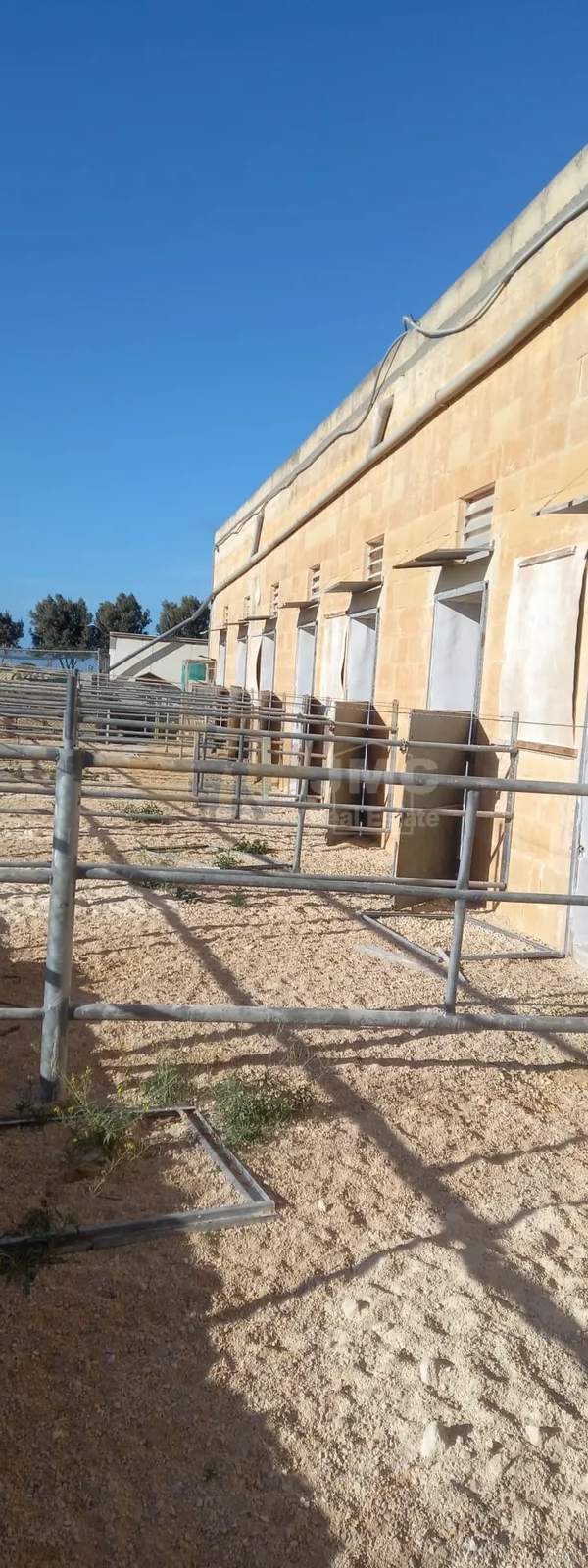 Bahrija stables