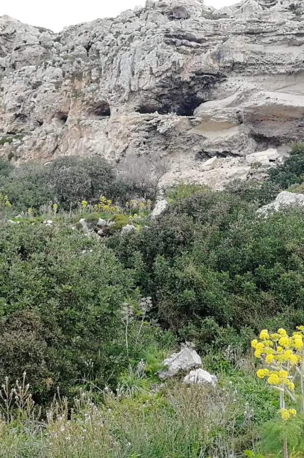 Dingli/Fawwara 1.3 tumoli field with sea & Filfla views