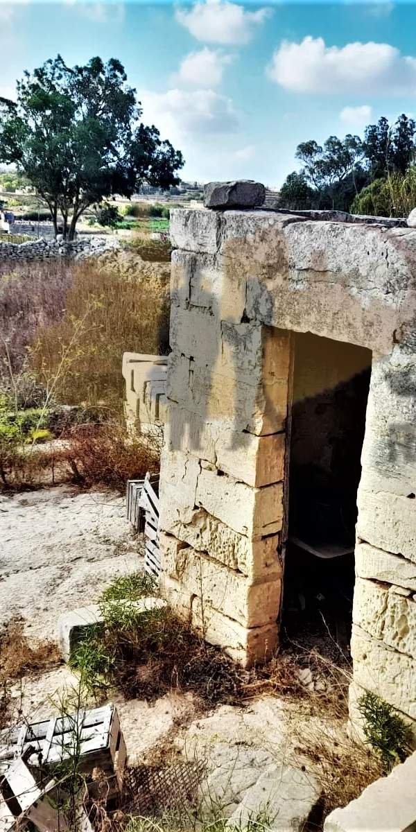 Qrendi 1.25 tumoli field
