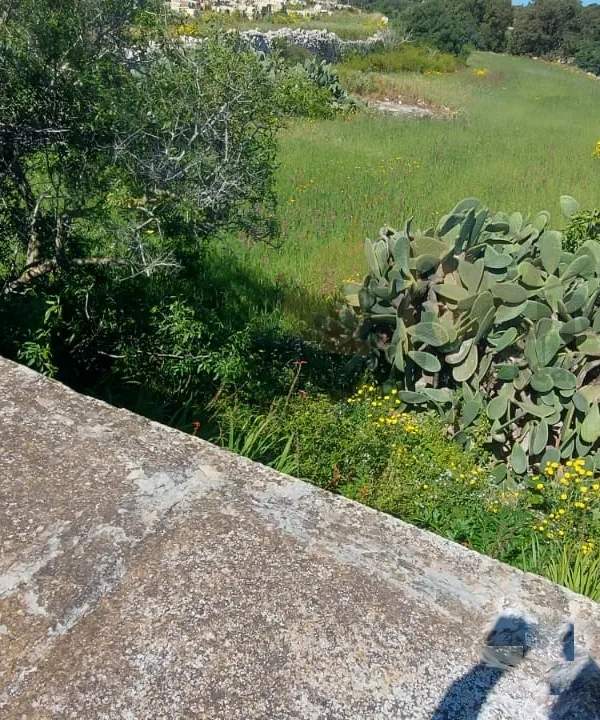 Birzebbugia 9000sqm land with farmhouse & a 3 bedroom townhouse