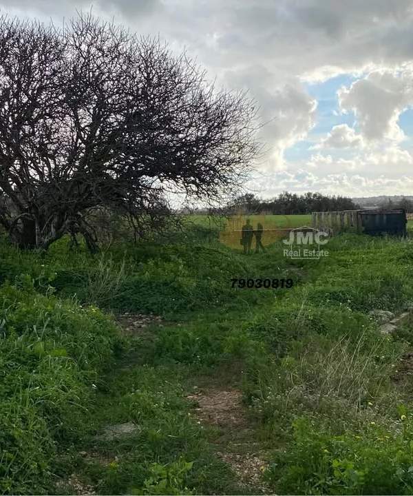 Landrijiet 800sqm field