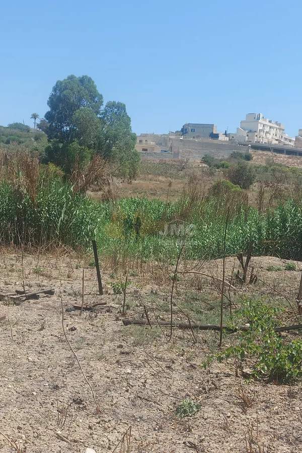 Rabat (Malta) 650sqm Agricultural Field