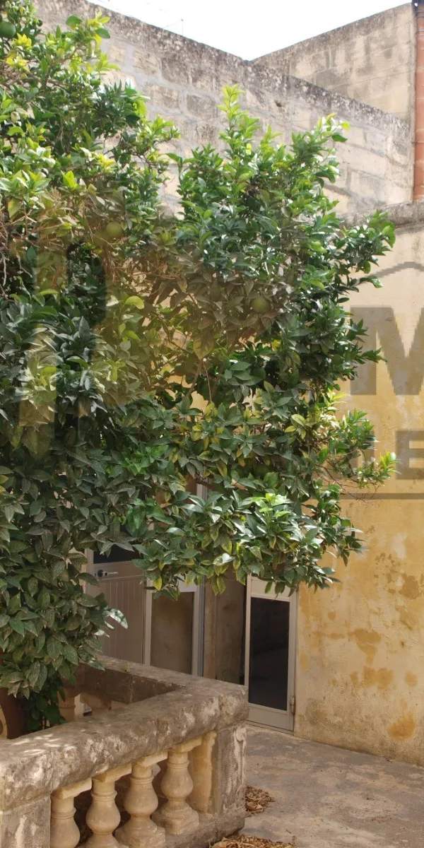 Zebbug (Malta) 260SQM house of character