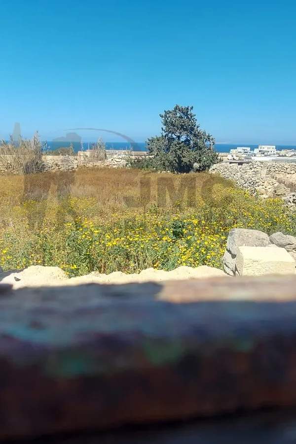 Zabbar farmhouse with permits for conversion