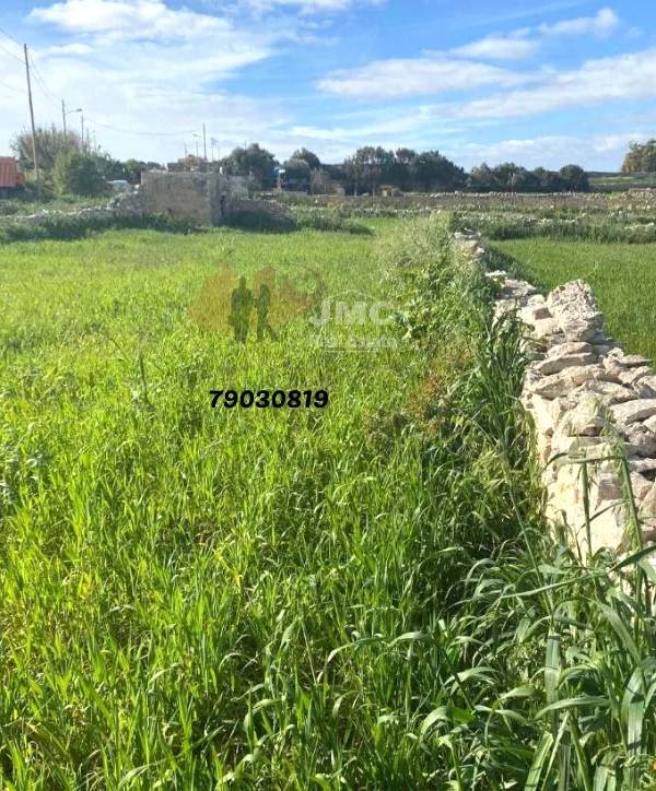 Siggiewi 5 tumoli field