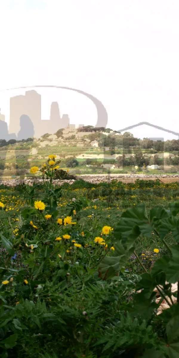 Zebbug (Malta) 8 tumoli land with residential permit for a farmhouse