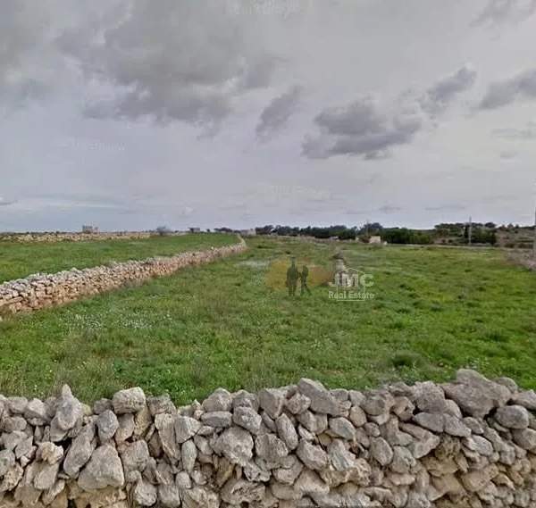 Siggiewi 1 tumola field