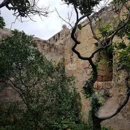 Zebbug (Malta) 300sqm garden with old mill